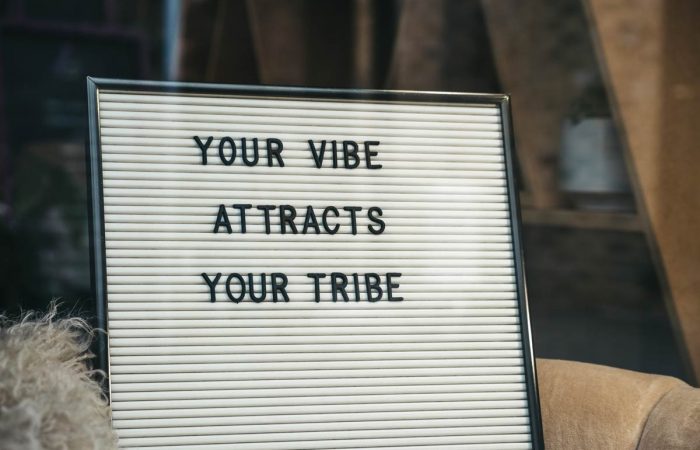 "Your Vibe Attracts The Tribe" messaging. Fundraising, coronavirus